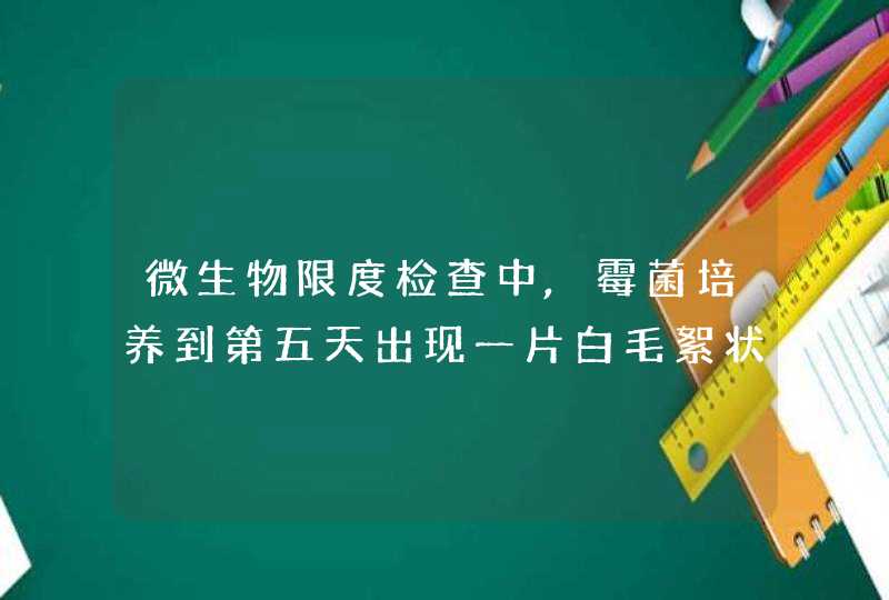 微生物限度检查中,霉菌培养到第五天出现一片白毛絮状东西,怎么回事?,第1张