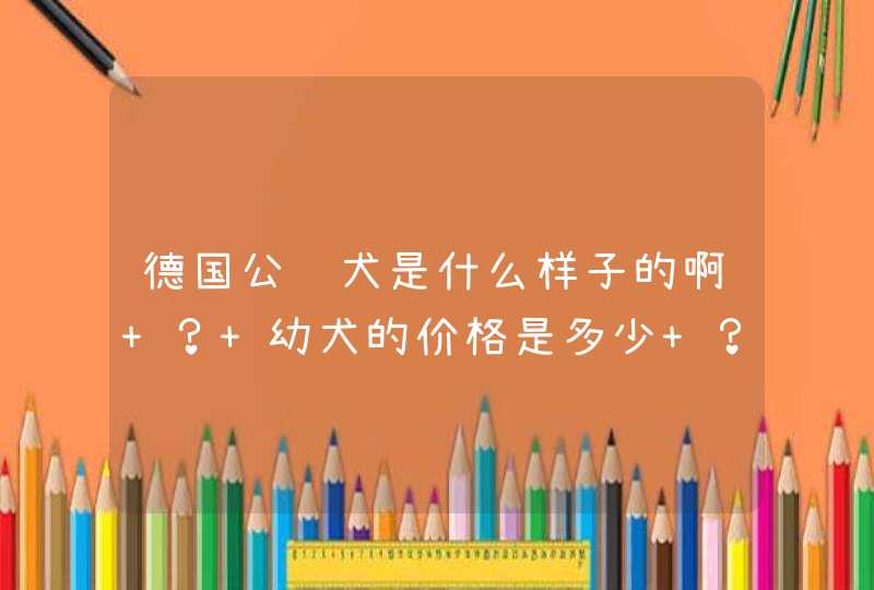 德国公贝犬是什么样子的啊 ？ 幼犬的价格是多少 ？ 怎么饲养它们?它和黑贝犬有什么区别 ？,第1张