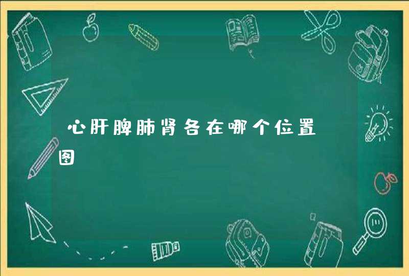 心肝脾肺肾各在哪个位置？图,第1张