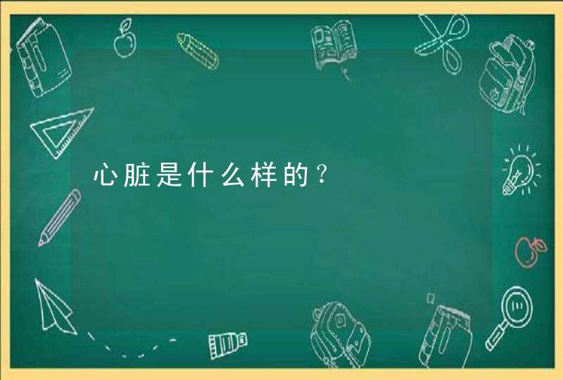 心脏是什么样的？,第1张