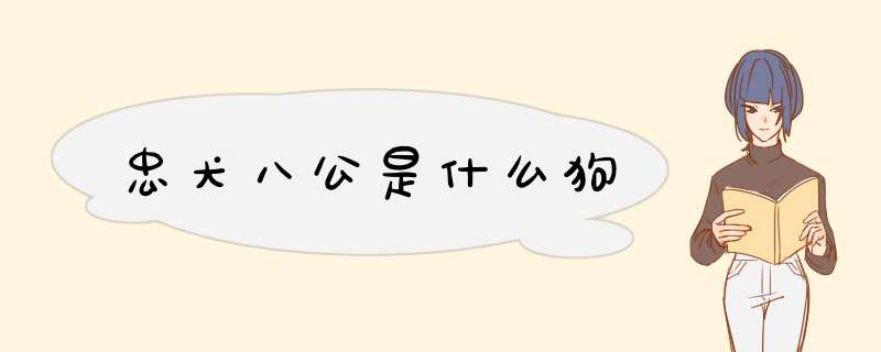 忠犬八公是什么狗,第1张