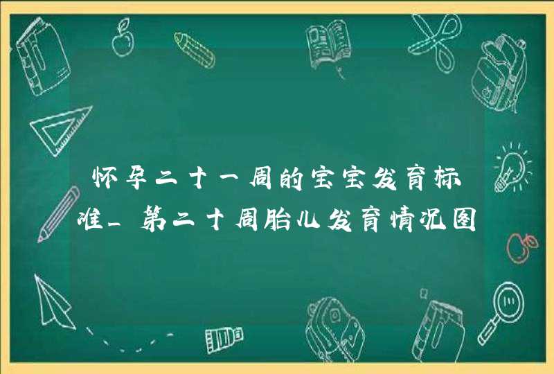 怀孕二十一周的宝宝发育标准_第二十周胎儿发育情况图,第1张