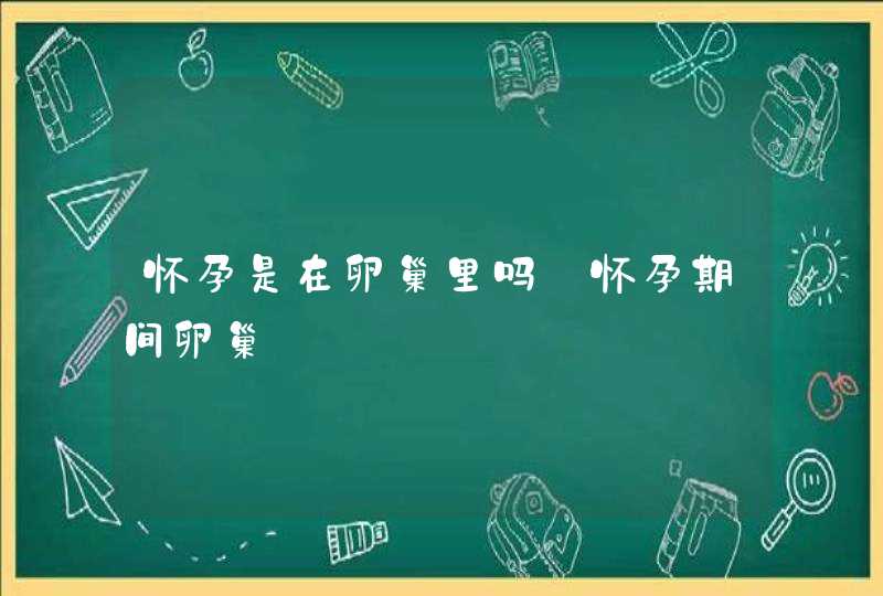 怀孕是在卵巢里吗_怀孕期间卵巢,第1张