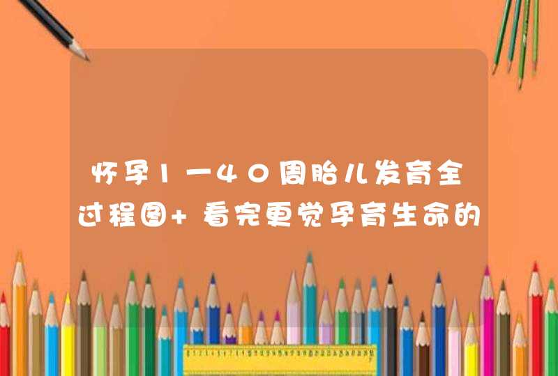 怀孕1一40周胎儿发育全过程图 看完更觉孕育生命的神奇,第1张