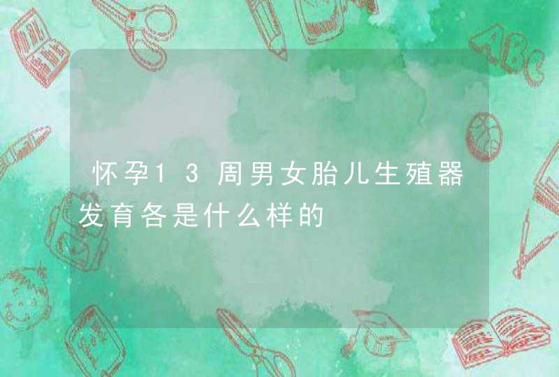 怀孕13周男女胎儿生殖器发育各是什么样的,第1张