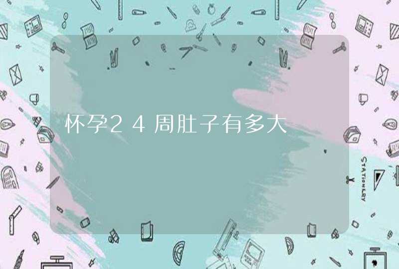 怀孕24周肚子有多大,第1张