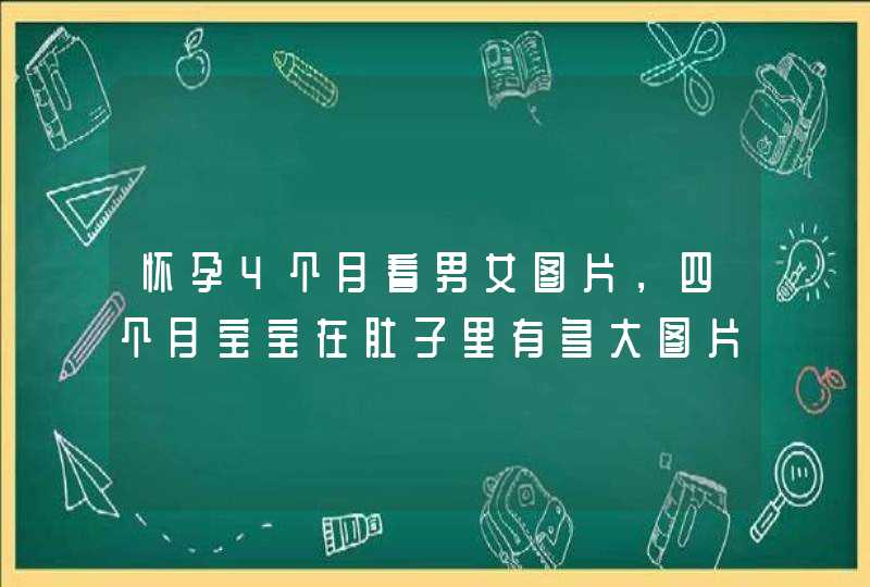 怀孕4个月看男女图片，四个月宝宝在肚子里有多大图片,第1张