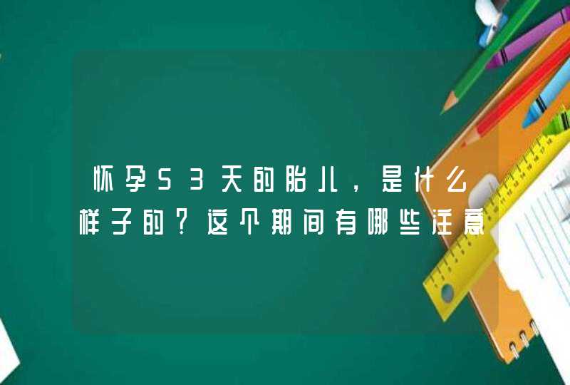 怀孕53天的胎儿，是什么样子的？这个期间有哪些注意事项？,第1张