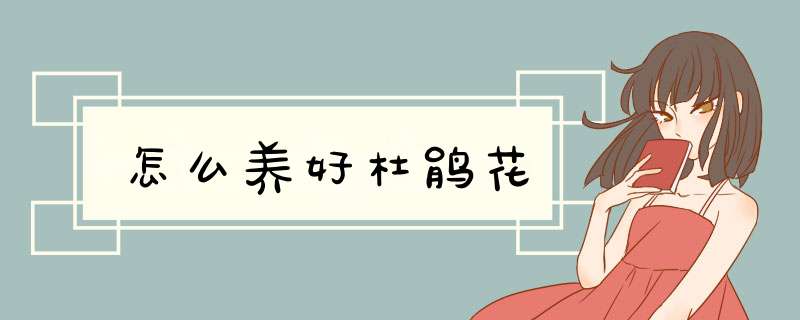 怎么养好杜鹃花,第1张