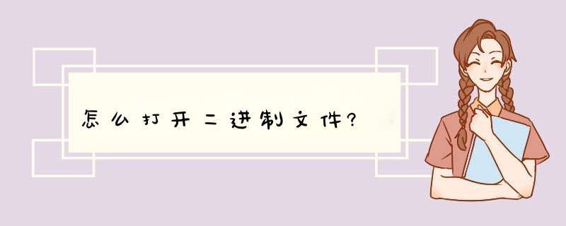 怎么打开二进制文件?,第1张 怎么打开二进制文件?,第1张