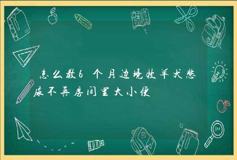 怎么教6个月边境牧羊犬憋尿不再房间里大小便,第1张