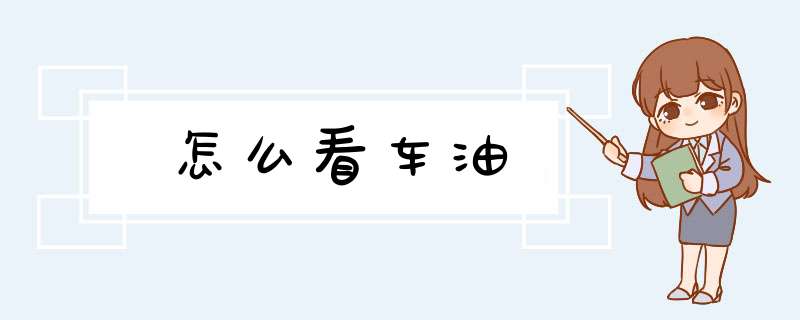 怎么看车油,第1张