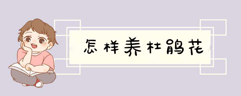 怎样养杜鹃花,第1张