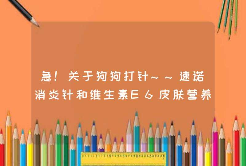 急！关于狗狗打针~~速诺消炎针和维生素E6皮肤营养针,第1张