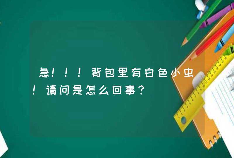 急！！！背包里有白色小虫！请问是怎么回事？,第1张