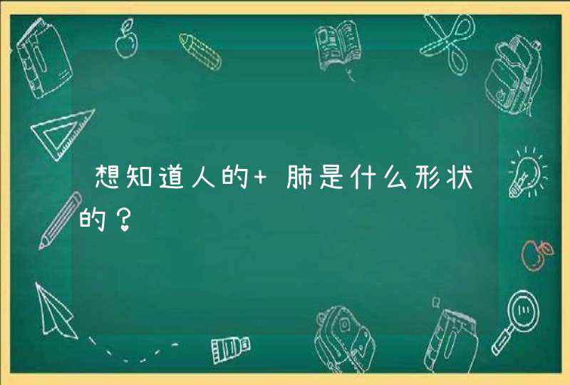 想知道人的 肺是什么形状的？,第1张