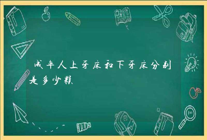 成年人上牙床和下牙床分别是多少颗,第1张