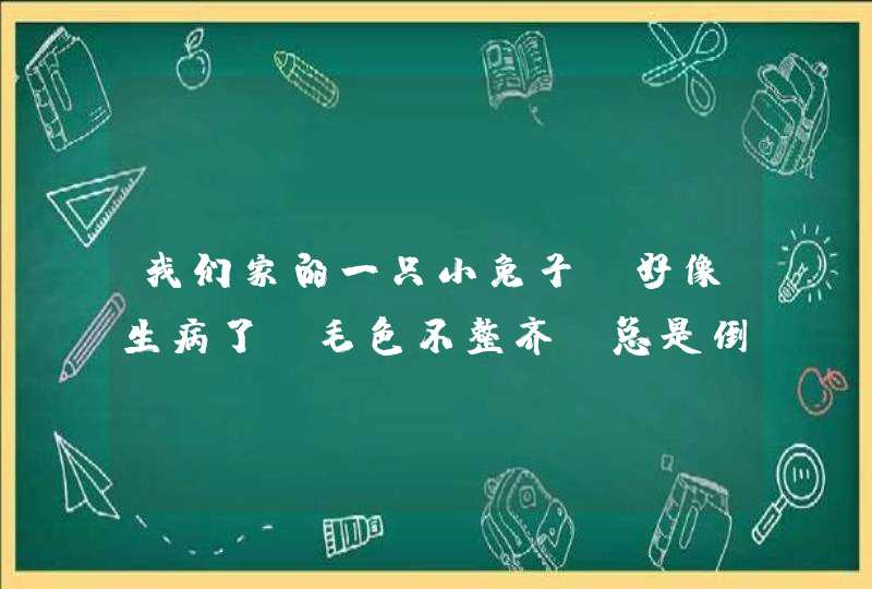 我们家的一只小兔子，好像生病了。毛色不整齐，总是倒下来。粪便也是一粒粒的，它怎么了,第1张