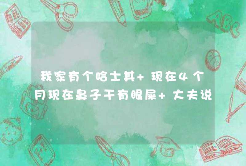 我家有个哈士其 现在4个月现在鼻子干有眼屎 大夫说是犬温热求求你们帮我救救我家的奇奇吧,第1张