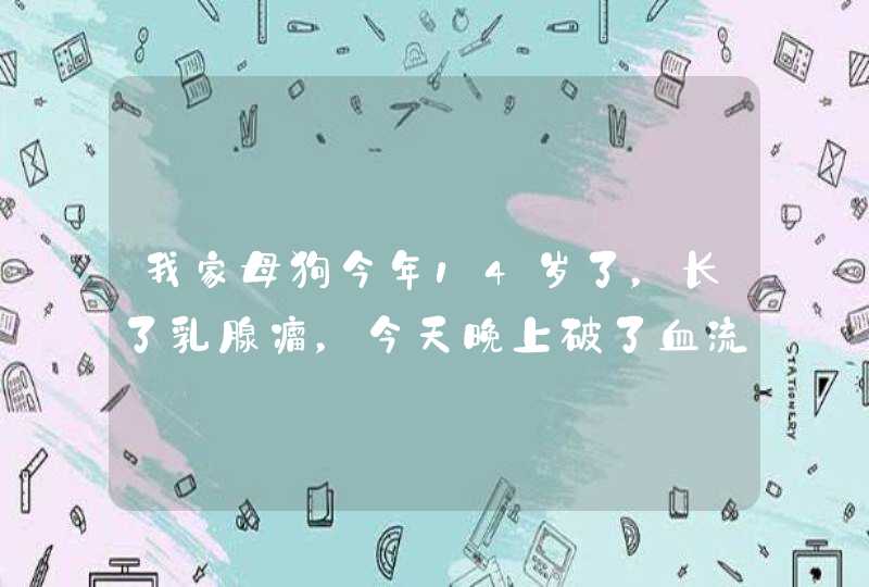 我家母狗今年14岁了，长了乳腺瘤，今天晚上破了血流不止，请问怎么办？,第1张