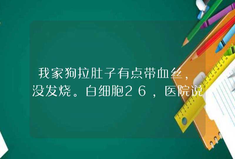 我家狗拉肚子有点带血丝，没发烧。白细胞26，医院说它的CRP95.6。到底有事没有啊！医生说要打针,第1张