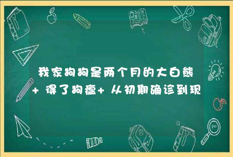 我家狗狗是两个月的大白熊 得了狗瘟 从初期确诊到现在4天,第1张