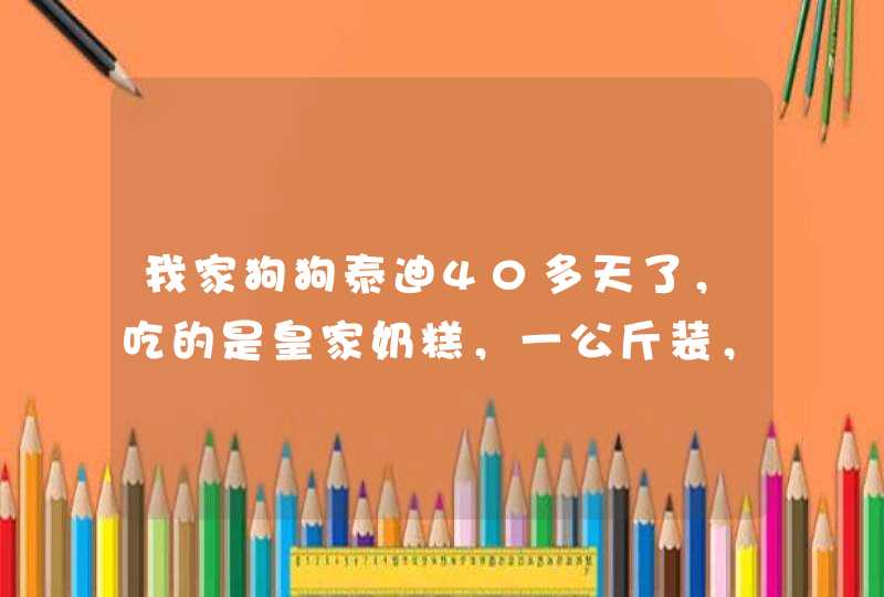 我家狗狗泰迪40多天了，吃的是皇家奶糕，一公斤装，70块钱左右的那种，很小的那种，请问一天吃几次？,第1张