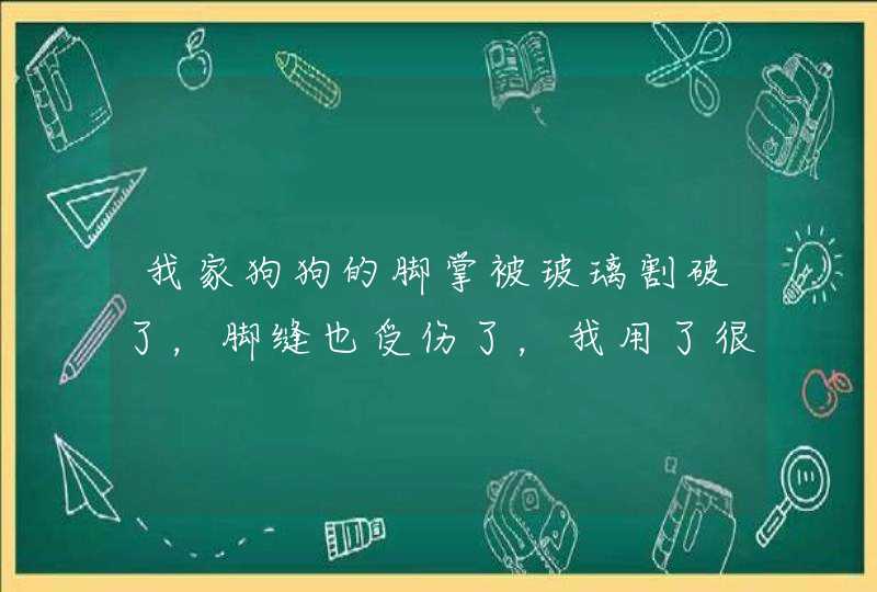 我家狗狗的脚掌被玻璃割破了，脚缝也受伤了，我用了很多办法都不见好转，怎么办啊！,第1张