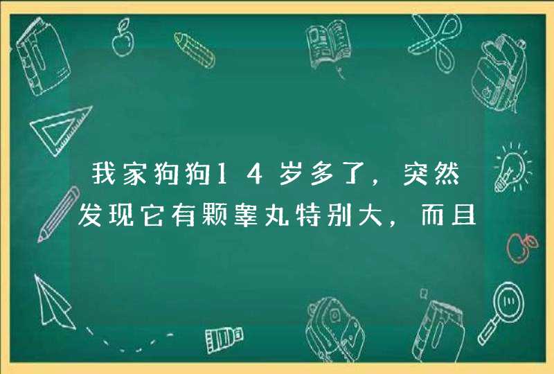 我家狗狗14岁多了，突然发现它有颗睾丸特别大，而且很硬。是肿瘤吗？要做手术吗？它年龄这么大受得了吗？,第1张