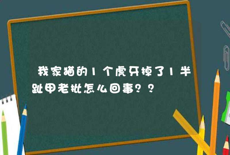 我家猫的1个虎牙掉了1半趾甲老批怎么回事？？,第1张