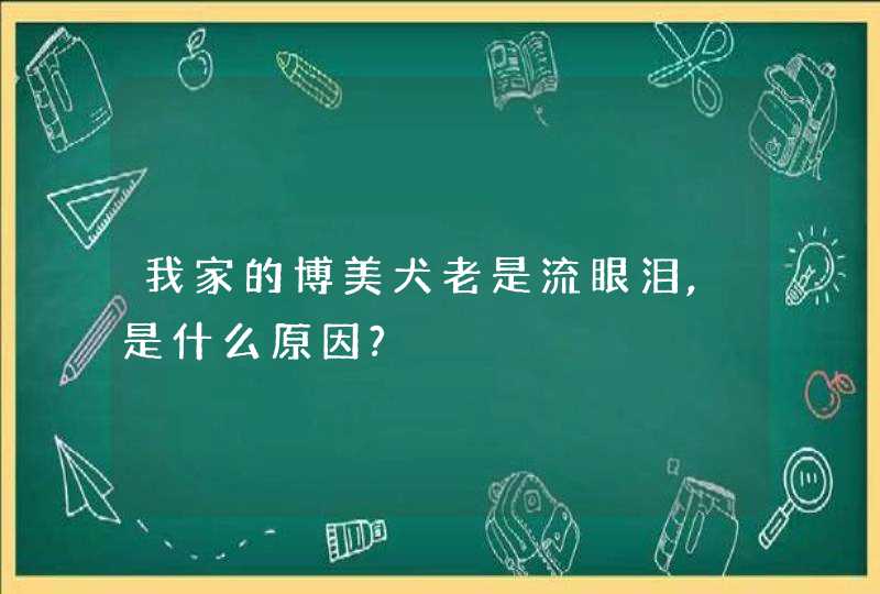 我家的博美犬老是流眼泪,是什么原因?,第1张