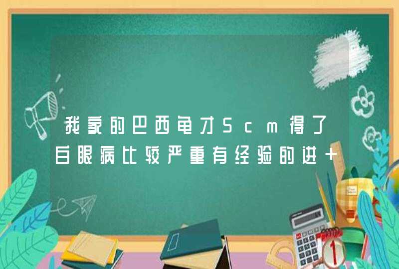 我家的巴西龟才5cm得了白眼病比较严重有经验的进 不懂得别装懂,第1张