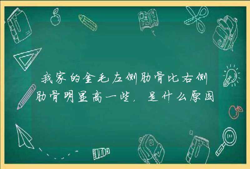 我家的金毛左侧肋骨比右侧肋骨明显高一些，是什么原因呢，有知道的请帮忙解答一下，十分感谢。,第1张