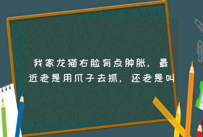 我家龙猫右脸有点肿胀,最近老是用爪子去抓,还老是叫唤,这是为什么啊!,第1张