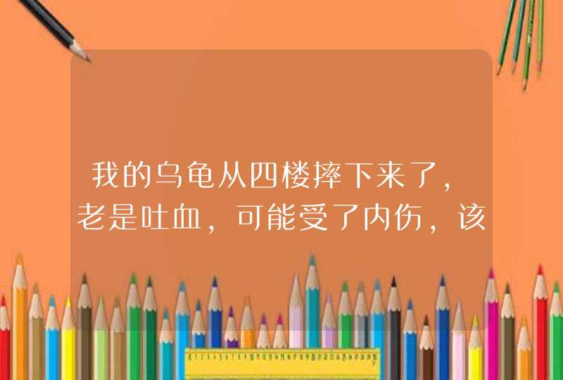 我的乌龟从四楼摔下来了,老是吐血,可能受了内伤,该怎麼治疗?谢谢了,第1张