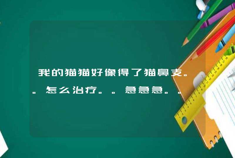 我的猫猫好像得了猫鼻支。。怎么治疗。。急急急。。,第1张