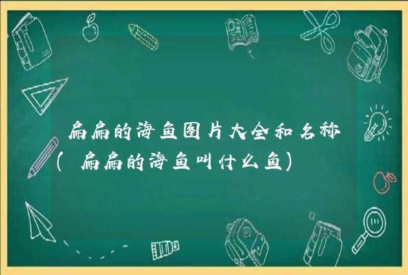 扁扁的海鱼图片大全和名称(扁扁的海鱼叫什么鱼),第1张