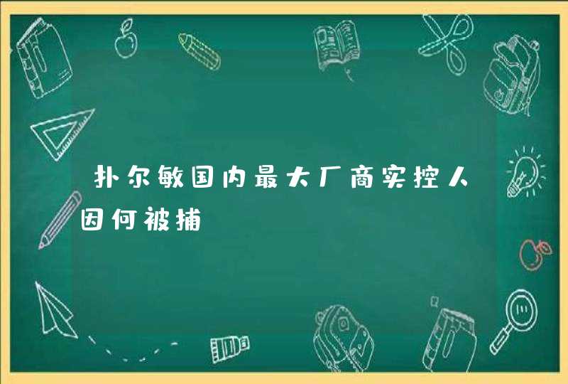 扑尔敏国内最大厂商实控人因何被捕？,第1张