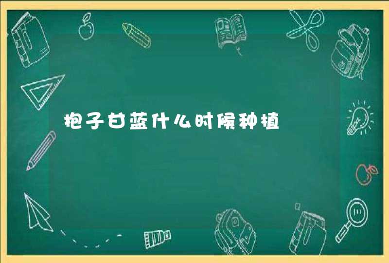 抱子甘蓝什么时候种植,第1张