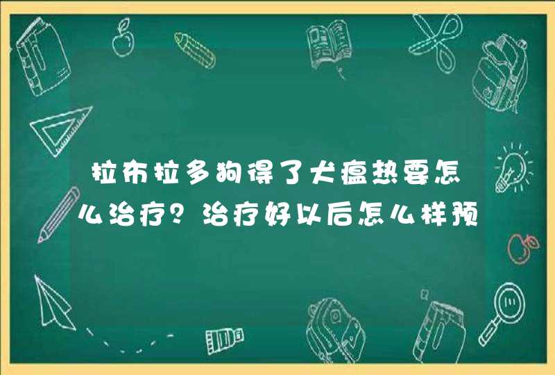 拉布拉多狗得了犬瘟热要怎么治疗？治疗好以后怎么样预防再复发？,第1张