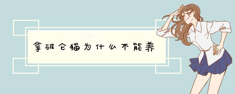 拿破仑猫为什么不能养,第1张