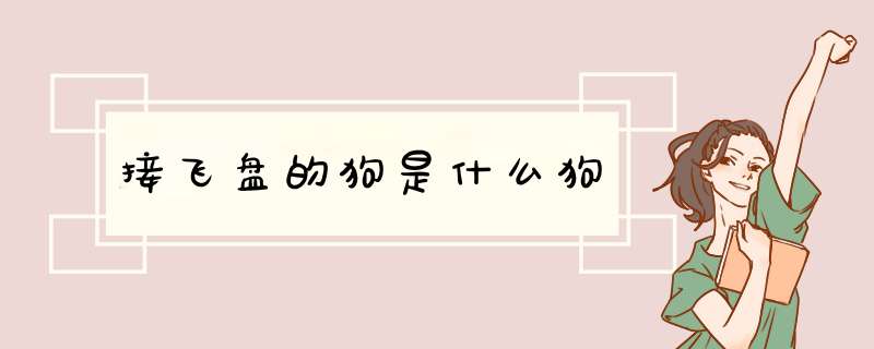 接飞盘的狗是什么狗,第1张