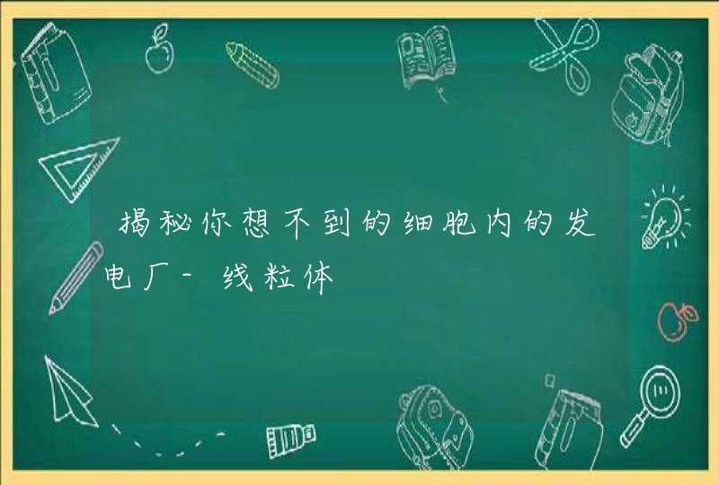 揭秘你想不到的细胞内的发电厂-线粒体,第1张