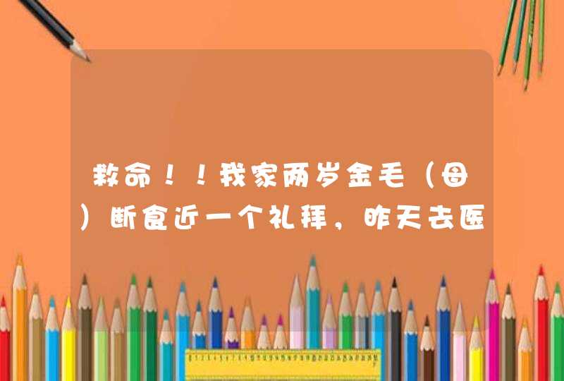 救命！！我家两岁金毛（母）断食近一个礼拜，昨天去医院检查，脾脏肿大，有硬物，淋巴结肿大，发炎，发烧,第1张