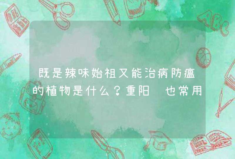 既是辣味始祖又能治病防瘟的植物是什么？重阳节也常用到？,第1张