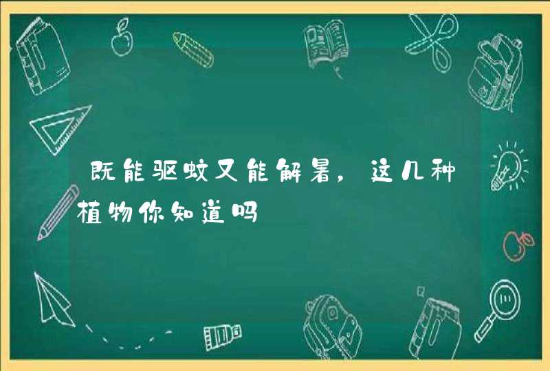 既能驱蚊又能解暑，这几种植物你知道吗,第1张