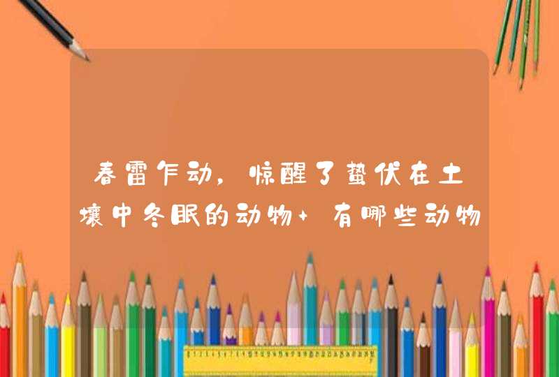 春雷乍动，惊醒了蛰伏在土壤中冬眠的动物 有哪些动物,第1张