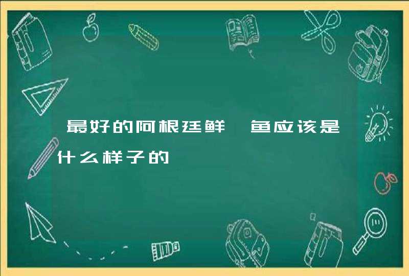 最好的阿根廷鲜鱿鱼应该是什么样子的,第1张