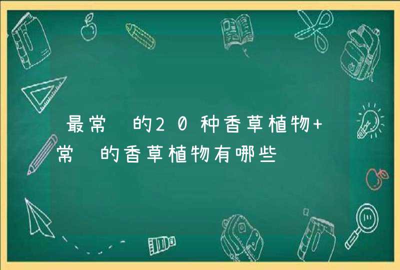 最常见的20种香草植物 常见的香草植物有哪些,第1张