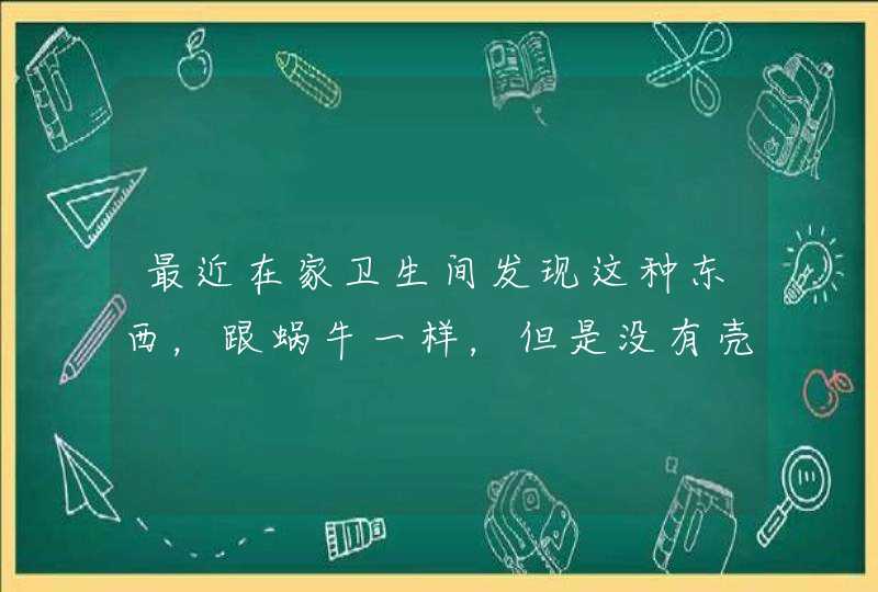 最近在家卫生间发现这种东西，跟蜗牛一样，但是没有壳… 请问这是什么？怎么消灭…？,第1张